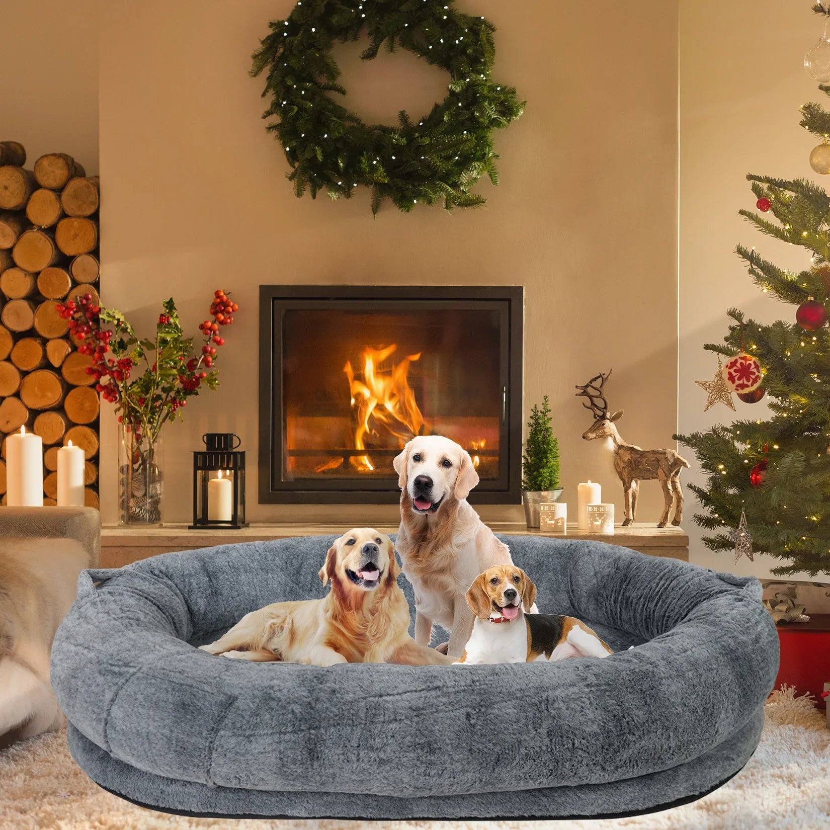 Large Human Dog Bed – 66" x 43" Giant Beanbag Bed for Adults & Pets with Washable Plush Cover & Blanket | Cozy Oversized Pet Lounger