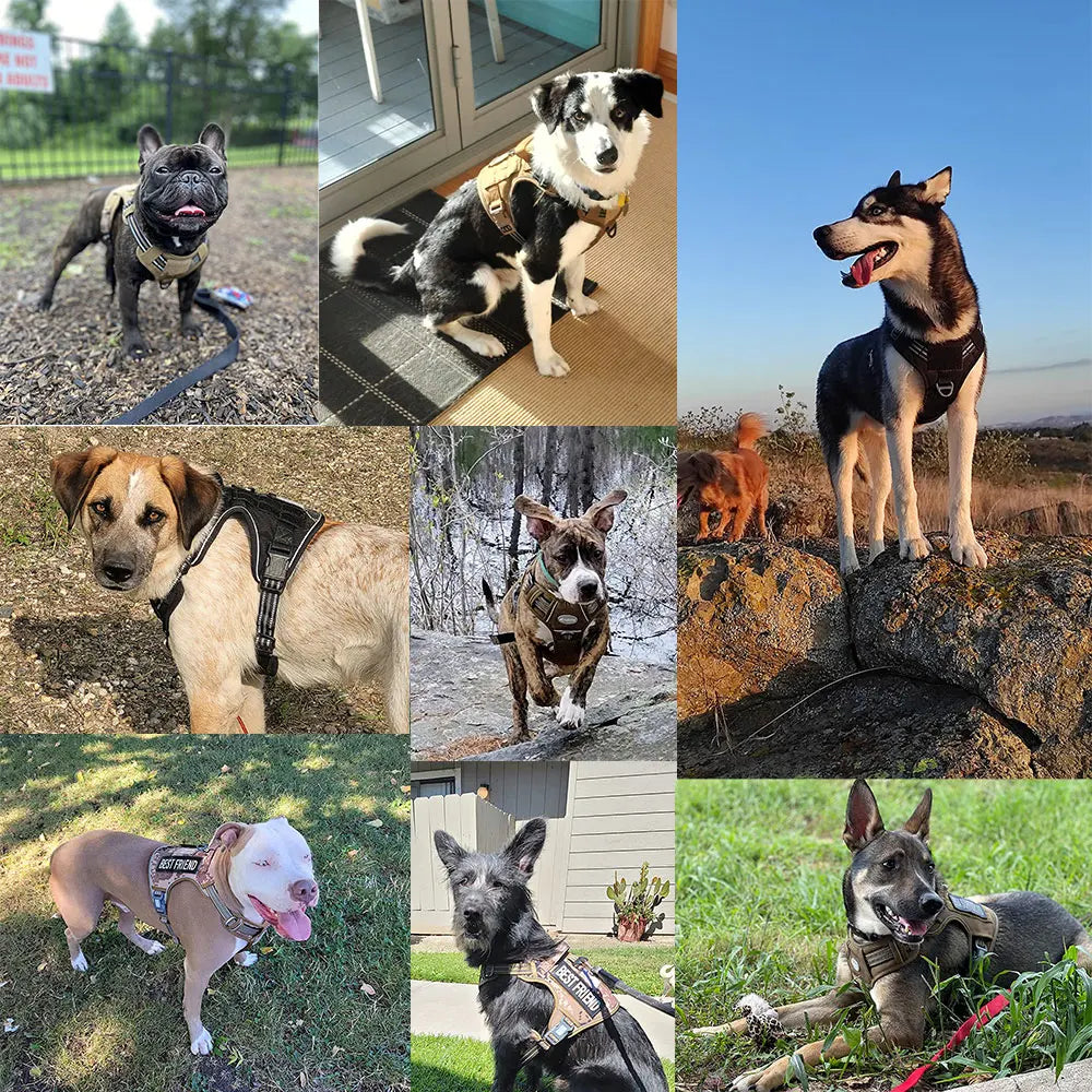 Reflective Tactical Dog Harness & Leash Set – Adjustable No-Pull Training Vest for Small & Large Dogs | Padded Outdoor Pet Harness